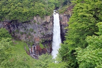 20140627kainikko1.JPG